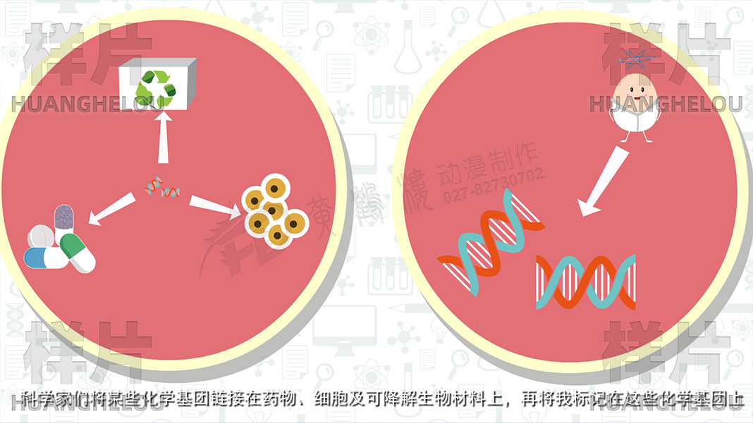 《分子影像》动画视频制作脚本-科学家们将某些化学基团链接在药物、细胞及可降解生物材料上，再将我标记在这些化学基团上.jpg