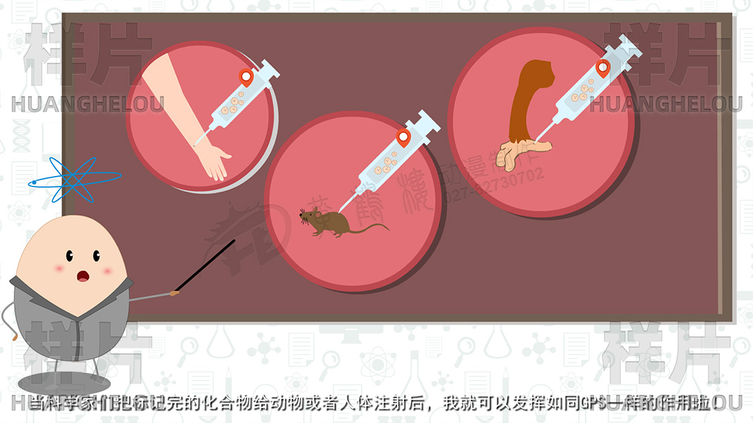 《分子影像》动画视频制作脚本-当科学家们把标记完的化合物给动物或者人体注射后.jpg