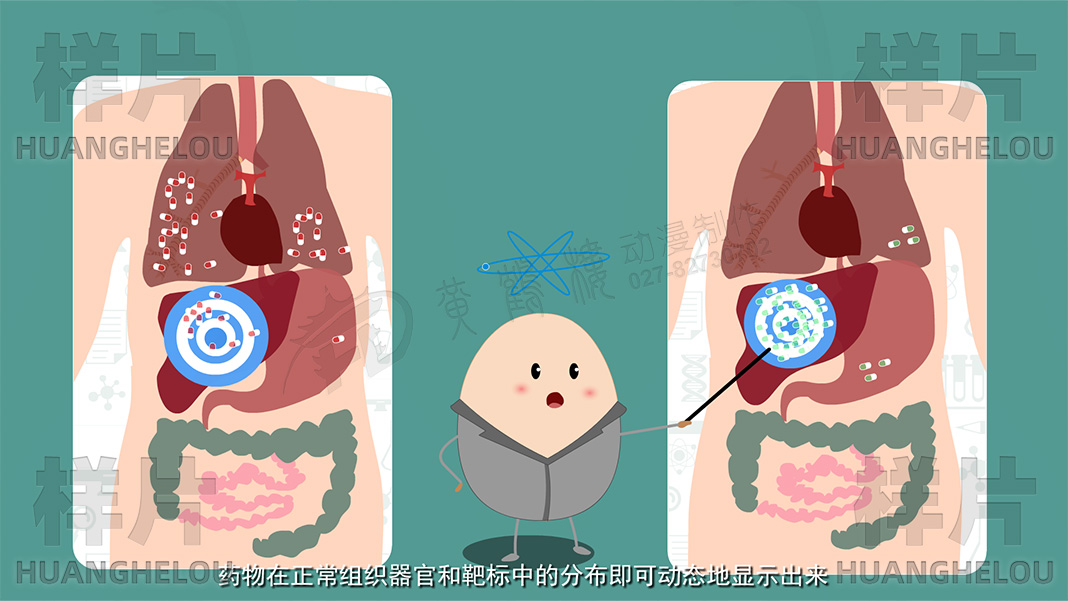 《分子影像》动画视频制作脚本-药物在正常组织器官和靶标中的分布就可以动态地显示出来了.jpg