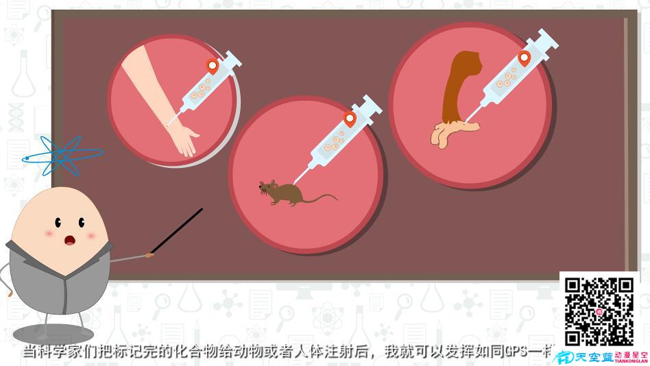 做医学Flash动画的公司