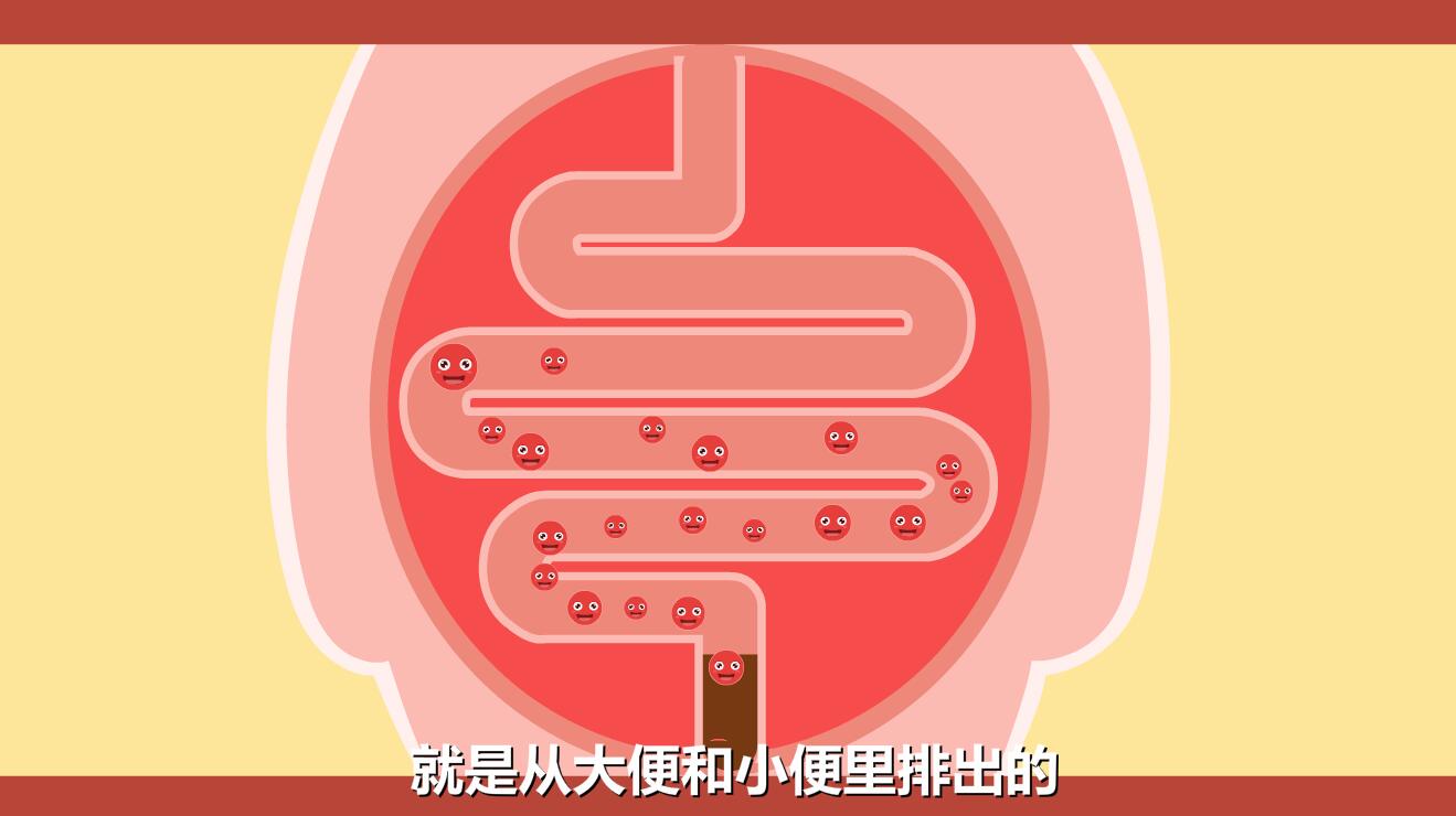 新生儿黄疸怎么退的快？胆红素跟随大小便排除体外.jpg